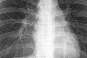 icon1.jpg